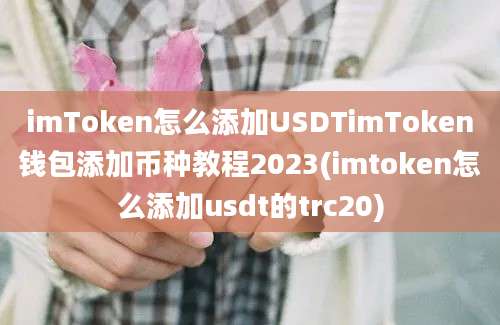 imToken怎么添加USDTimToken钱包添加币种教程2023(imtoken怎么添加usdt的trc20)