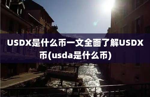 USDX是什么币一文全面了解USDX币(usda是什么币)