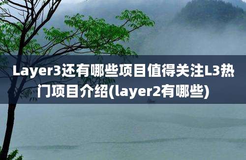 Layer3还有哪些项目值得关注L3热门项目介绍(layer2有哪些)