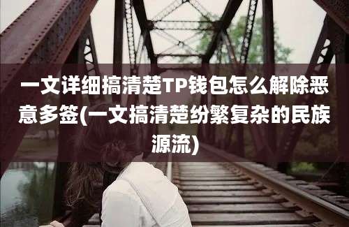 一文详细搞清楚TP钱包怎么解除恶意多签(一文搞清楚纷繁复杂的民族源流)