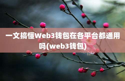 一文搞懂Web3钱包在各平台都通用吗(web3钱包)