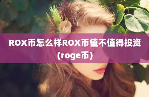 ROX币怎么样ROX币值不值得投资(roge币)