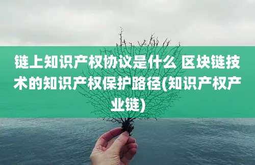 链上知识产权协议是什么 区块链技术的知识产权保护路径(知识产权产业链)