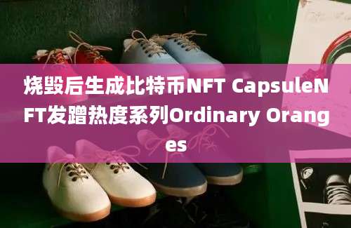 烧毁后生成比特币NFT CapsuleNFT发蹭热度系列Ordinary Oranges