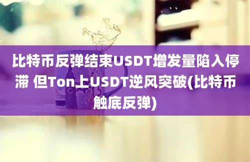 比特币反弹结束USDT增发量陷入停滞 但Ton上USDT逆风突破(比特币触底反弹)