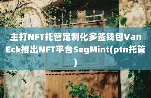 主打NFT托管定制化多签钱包VanEck推出NFT平台SegMint(ptn托管)