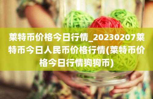 莱特币价格今日行情_20230207莱特币今日人民币价格行情(莱特币价格今日行情狗狗币)