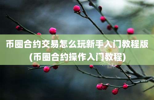 币圈合约交易怎么玩新手入门教程版(币圈合约操作入门教程)