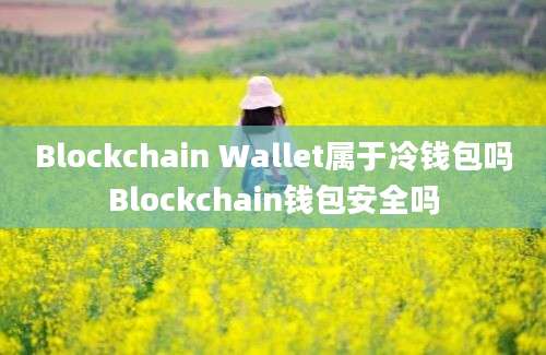 Blockchain Wallet属于冷钱包吗Blockchain钱包安全吗