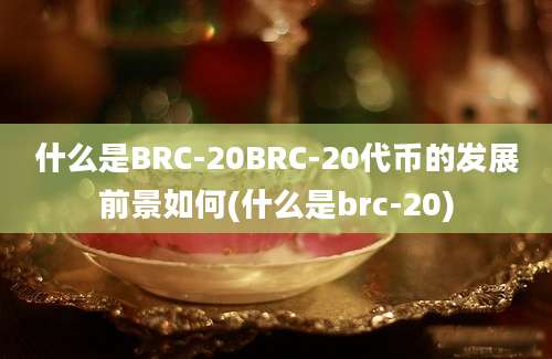 什么是BRC-20BRC-20代币的发展前景如何(什么是brc-20)