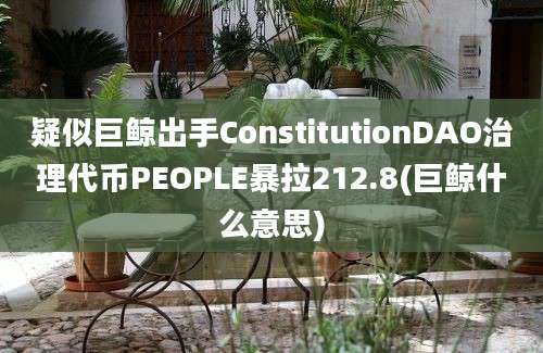 疑似巨鲸出手ConstitutionDAO治理代币PEOPLE暴拉212.8(巨鲸什么意思)