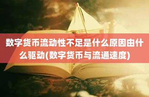 数字货币流动性不足是什么原因由什么驱动(数字货币与流通速度)