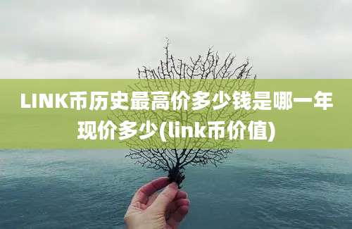 LINK币历史最高价多少钱是哪一年现价多少(link币价值)