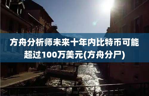 方舟分析师未来十年内比特币可能超过100万美元(方舟分尸)