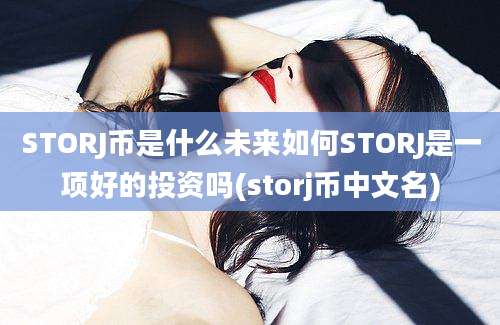 STORJ币是什么未来如何STORJ是一项好的投资吗(storj币中文名)