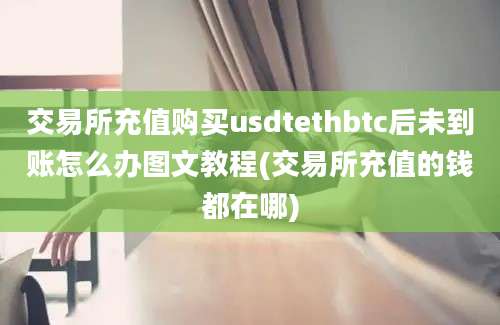 交易所充值购买usdtethbtc后未到账怎么办图文教程(交易所充值的钱都在哪)