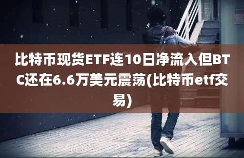 比特币现货ETF连10日净流入但BTC还在6.6万美元震荡(比特币etf交易)