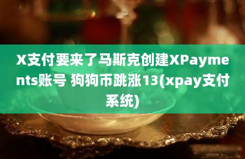 X支付要来了马斯克创建XPayments账号 狗狗币跳涨13(xpay支付系统)