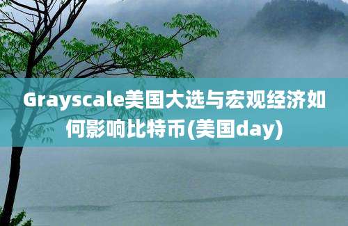 Grayscale美国大选与宏观经济如何影响比特币(美国day)