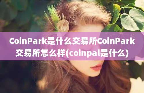 CoinPark是什么交易所CoinPark交易所怎么样(coinpal是什么)