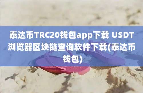 泰达币TRC20钱包app下载 USDT浏览器区块链查询软件下载(泰达币 钱包)