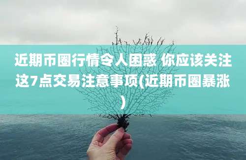 近期币圈行情令人困惑 你应该关注这7点交易注意事项(近期币圈暴涨)