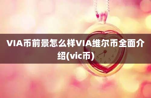 VIA币前景怎么样VIA维尔币全面介绍(vic币)