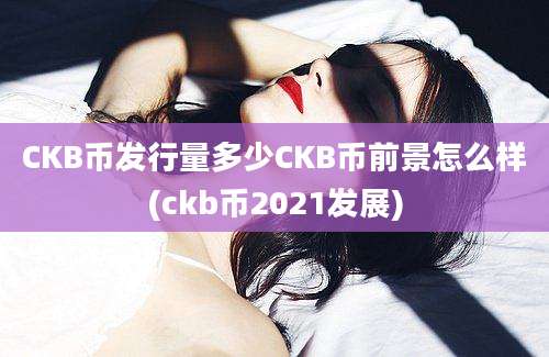 CKB币发行量多少CKB币前景怎么样(ckb币2021发展)