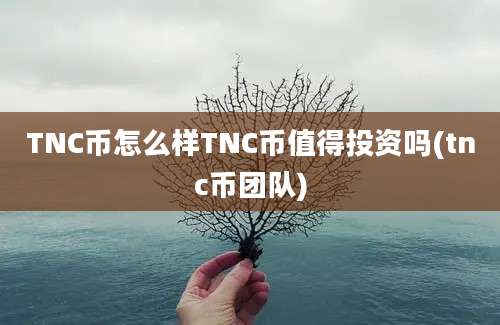 TNC币怎么样TNC币值得投资吗(tnc币团队)