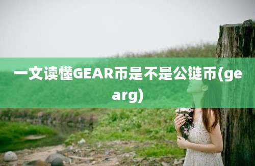 一文读懂GEAR币是不是公链币(gearg)