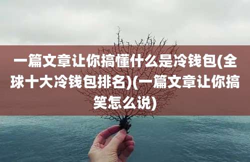 一篇文章让你搞懂什么是冷钱包(全球十大冷钱包排名)(一篇文章让你搞笑怎么说)