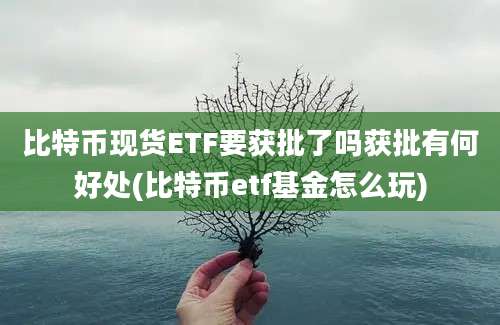 比特币现货ETF要获批了吗获批有何好处(比特币etf基金怎么玩)