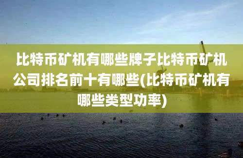 比特币矿机有哪些牌子比特币矿机公司排名前十有哪些(比特币矿机有哪些类型功率)