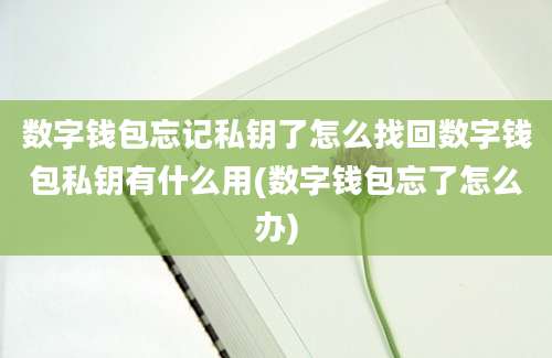 数字钱包忘记私钥了怎么找回数字钱包私钥有什么用(数字钱包忘了怎么办)