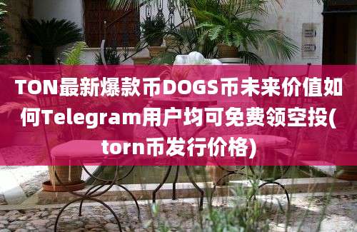 TON最新爆款币DOGS币未来价值如何Telegram用户均可免费领空投(torn币发行价格)