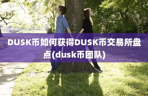 DUSK币如何获得DUSK币交易所盘点(dusk币团队)