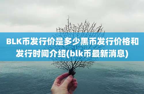 BLK币发行价是多少黑币发行价格和发行时间介绍(blk币最新消息)