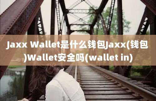 Jaxx Wallet是什么钱包Jaxx(钱包)Wallet安全吗(wallet in)