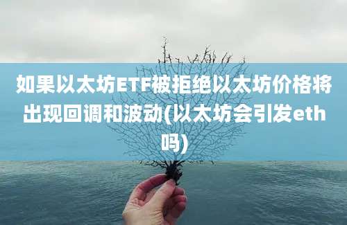 如果以太坊ETF被拒绝以太坊价格将出现回调和波动(以太坊会引发eth吗)