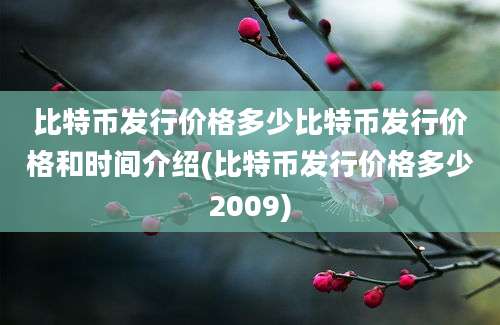 比特币发行价格多少比特币发行价格和时间介绍(比特币发行价格多少2009)