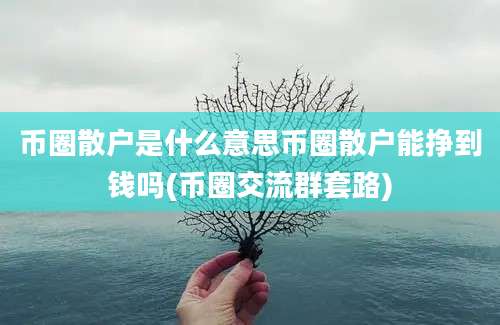 币圈散户是什么意思币圈散户能挣到钱吗(币圈交流群套路)