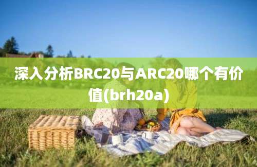 深入分析BRC20与ARC20哪个有价值(brh20a)