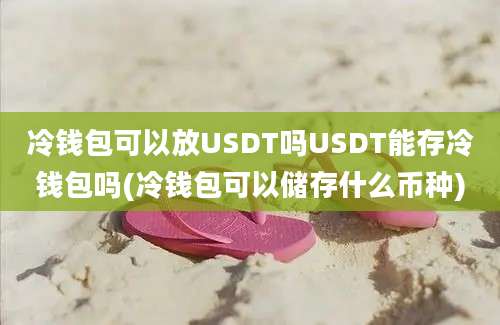 冷钱包可以放USDT吗USDT能存冷钱包吗(冷钱包可以储存什么币种)