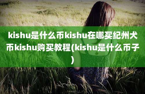 kishu是什么币kishu在哪买纪州犬币kishu购买教程(kishu是什么币子)