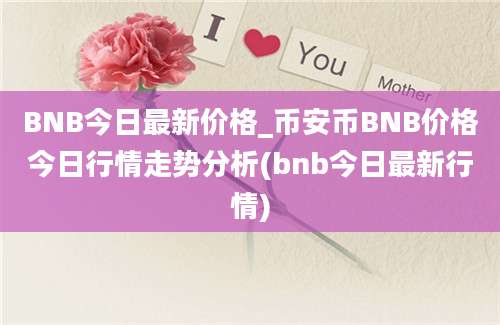 BNB今日最新价格_币安币BNB价格今日行情走势分析(bnb今日最新行情)