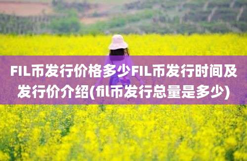 FIL币发行价格多少FIL币发行时间及发行价介绍(fil币发行总量是多少)