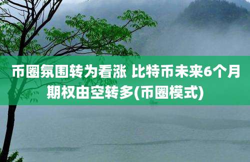 币圈氛围转为看涨 比特币未来6个月期权由空转多(币圈模式)