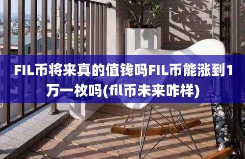 FIL币将来真的值钱吗FIL币能涨到1万一枚吗(fil币未来咋样)