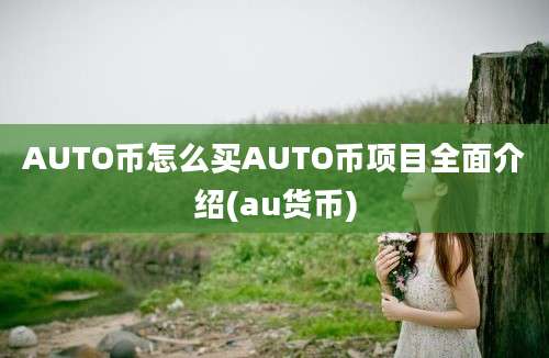 AUTO币怎么买AUTO币项目全面介绍(au货币)