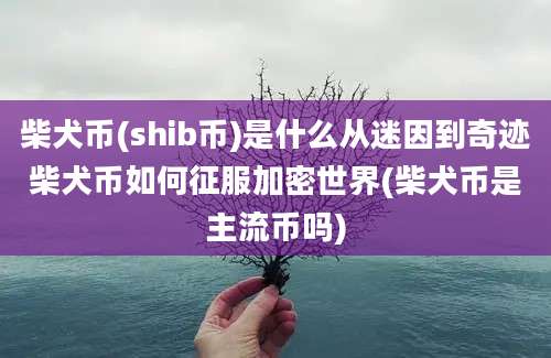 柴犬币(shib币)是什么从迷因到奇迹柴犬币如何征服加密世界(柴犬币是主流币吗)